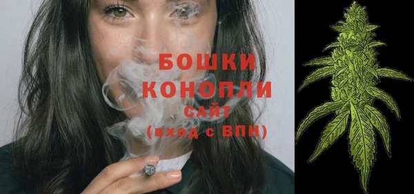 соль ск Богородицк