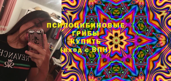герыч Бородино
