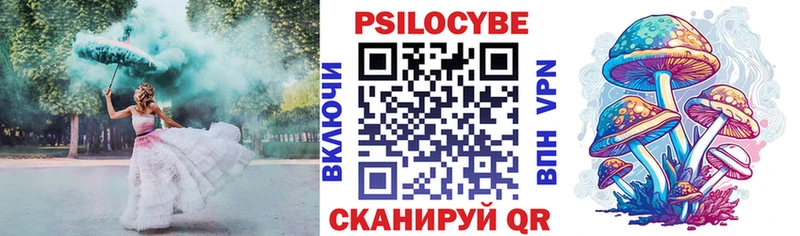 Псилоцибиновые грибы MAGIC MUSHROOMS  где можно купить наркотик  Ставрополь 