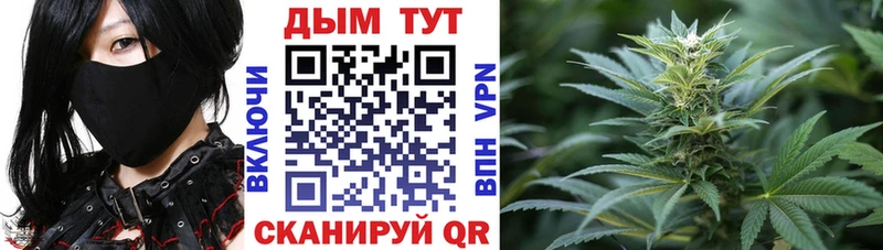 Конопля SATIVA & INDICA  ОМГ ОМГ маркетплейс  Ставрополь 